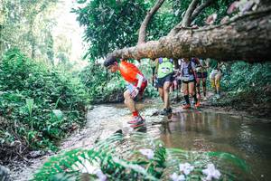 BIB: 
                            <button type="button" onclick="openModal(25462387)" class="btn btn-primary btn-sm float-right btn-popup" data-toggle="modal" data-target=".modal-high-quality">
                        <i class="fas fa-shopping-cart"></i> Add to Cart
                    </button>
                                            <button type="button" onclick="isThisMe(25462387, true)" class="btn btn-success btn-sm float-right btn-popup btn-isme hidden" data-toggle="tooltip" data-placement="bottom" title="นี่คือรูปของคุณใช่ไหม คลิกที่นี่เพื่อเอาเข้าอัลบั้ม">
                        <i class="fas fa-plus"></i> Add to album
                    </button>
                    <button type="button" onclick="isThisMe(25462387, false)" class="btn btn-warning btn-sm float-right btn-popup btn-isnotme hidden">
                        <i class="fas fa-ban"></i> Remove from album
                    </button>